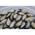 Seafood Frozen Half Shell Mussels